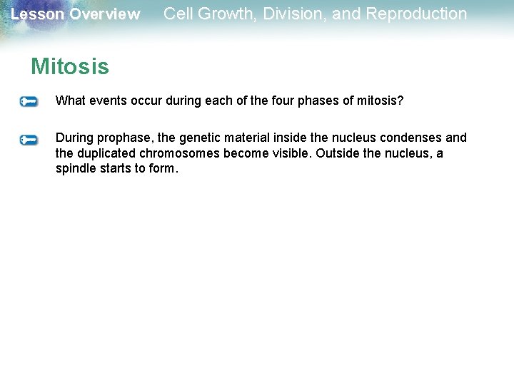 Lesson Overview Cell Growth, Division, and Reproduction Mitosis What events occur during each of