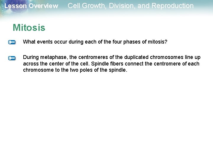 Lesson Overview Cell Growth, Division, and Reproduction Mitosis What events occur during each of