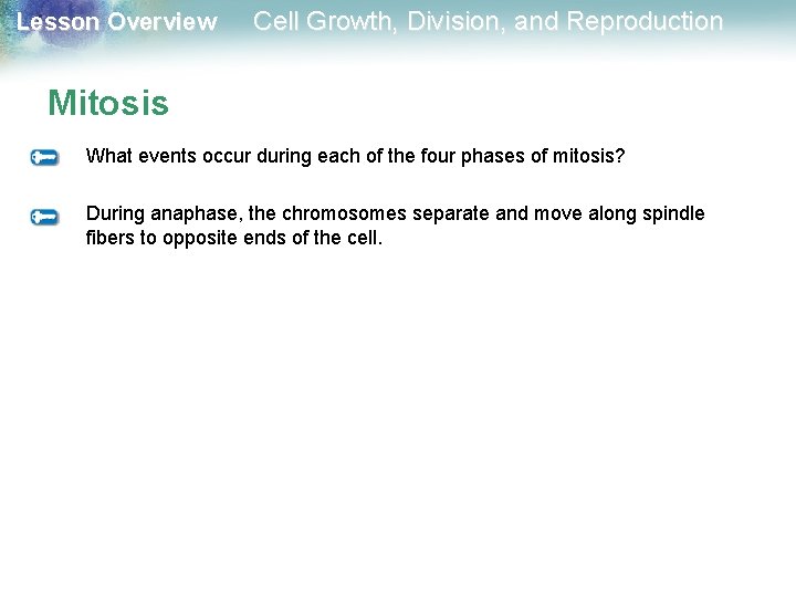 Lesson Overview Cell Growth, Division, and Reproduction Mitosis What events occur during each of