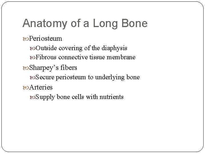 Anatomy of a Long Bone Periosteum Outside covering of the diaphysis Fibrous connective tissue