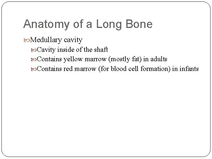 Anatomy of a Long Bone Medullary cavity Cavity inside of the shaft Contains yellow