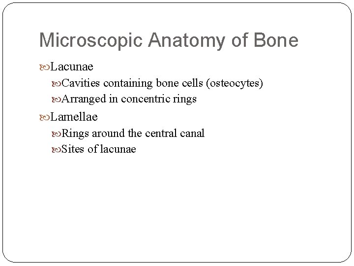 Microscopic Anatomy of Bone Lacunae Cavities containing bone cells (osteocytes) Arranged in concentric rings