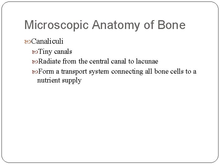 Microscopic Anatomy of Bone Canaliculi Tiny canals Radiate from the central canal to lacunae