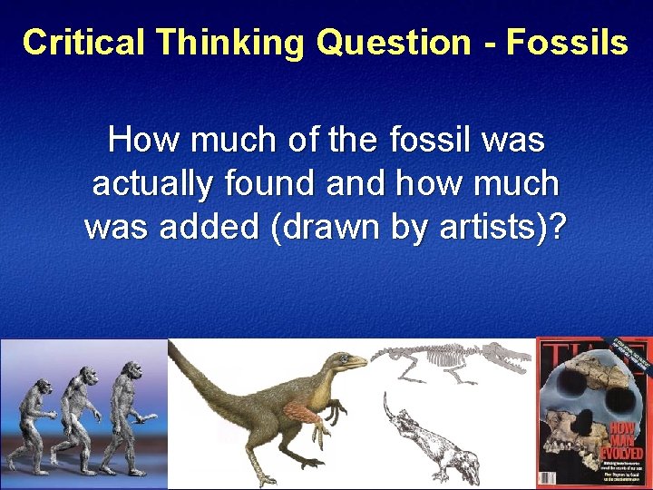 Critical Thinking Question - Fossils How much of the fossil was actually found and