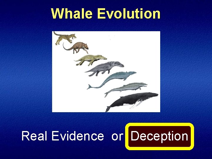 Whale Evolution Real Evidence or Deception 
