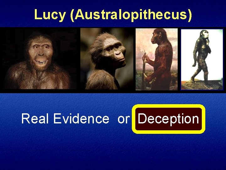 Lucy (Australopithecus) Real Evidence or Deception 