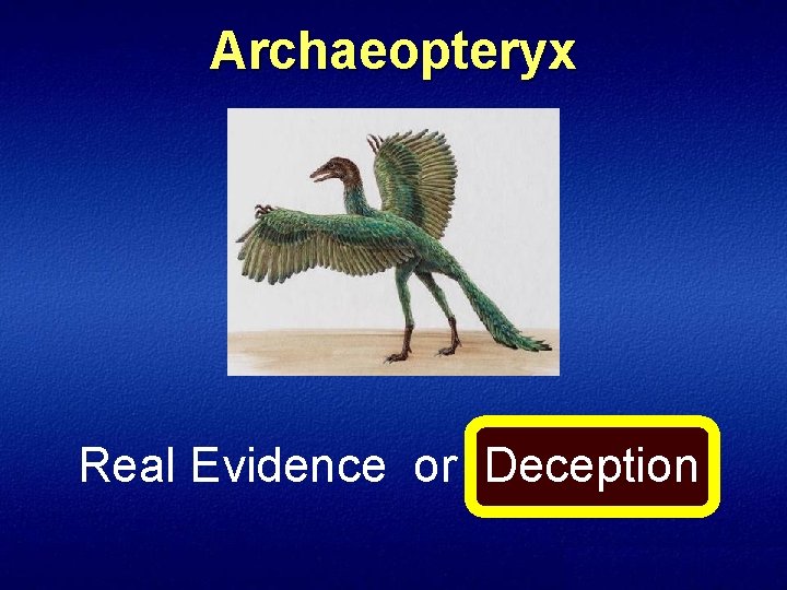 Archaeopteryx Real Evidence or Deception 