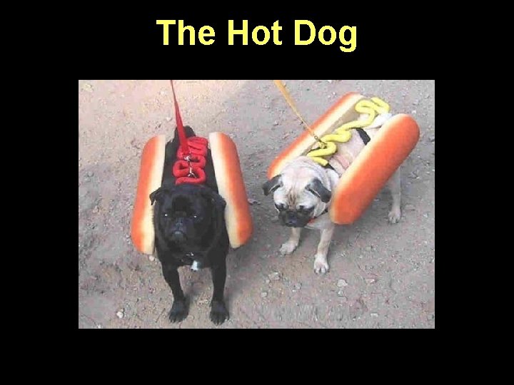 The Hot Dog 