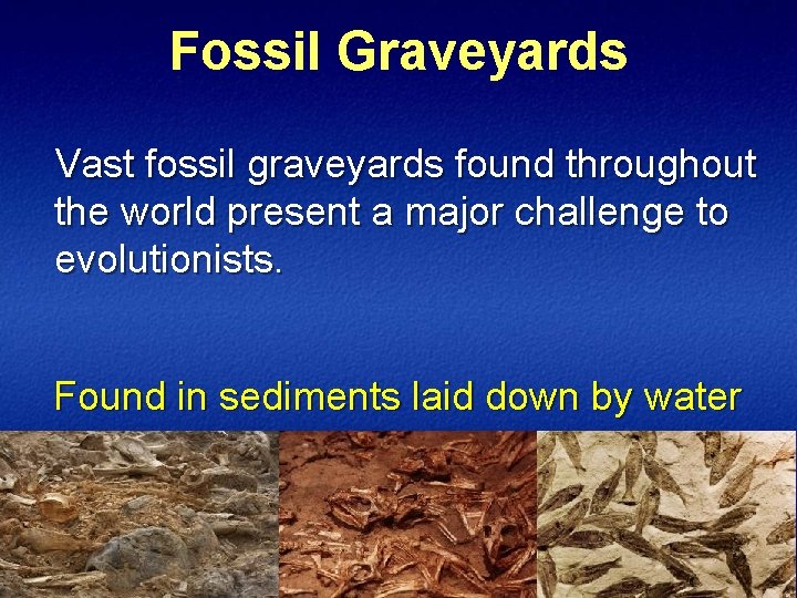 Fossil Graveyards Vast fossil graveyards found throughout the world present a major challenge to