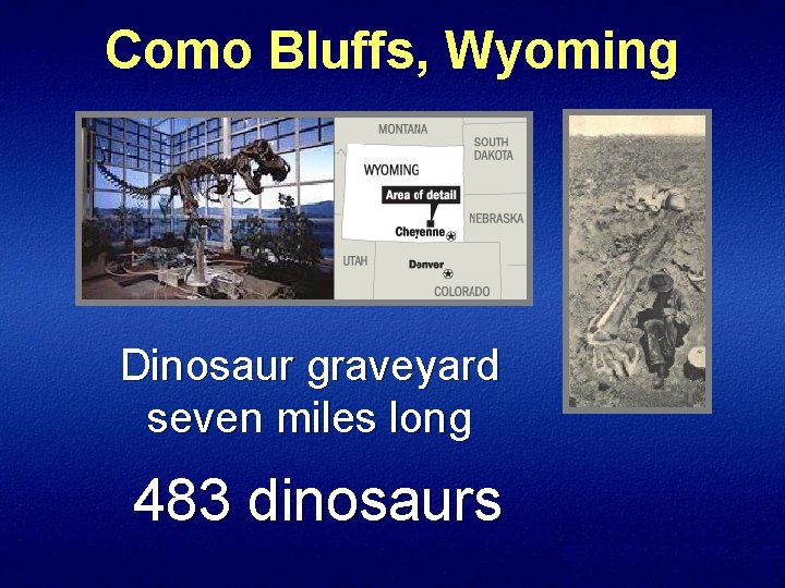 Como Bluffs, Wyoming Dinosaur graveyard seven miles long 483 dinosaurs 