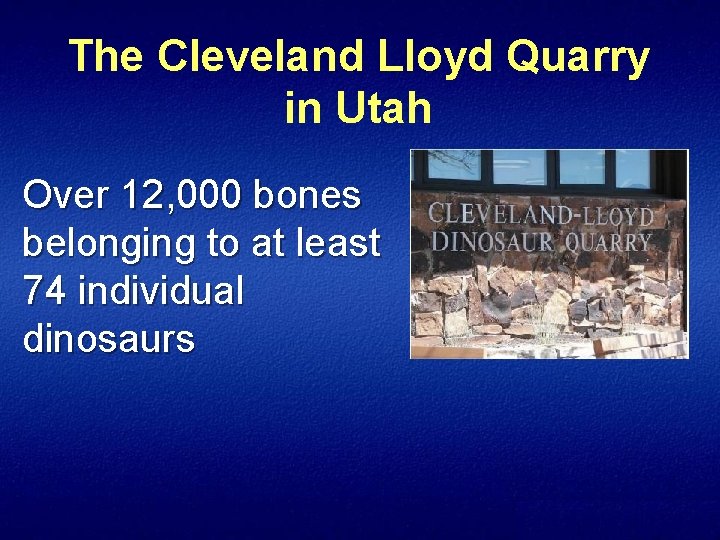 The Cleveland Lloyd Quarry in Utah Over 12, 000 bones belonging to at least
