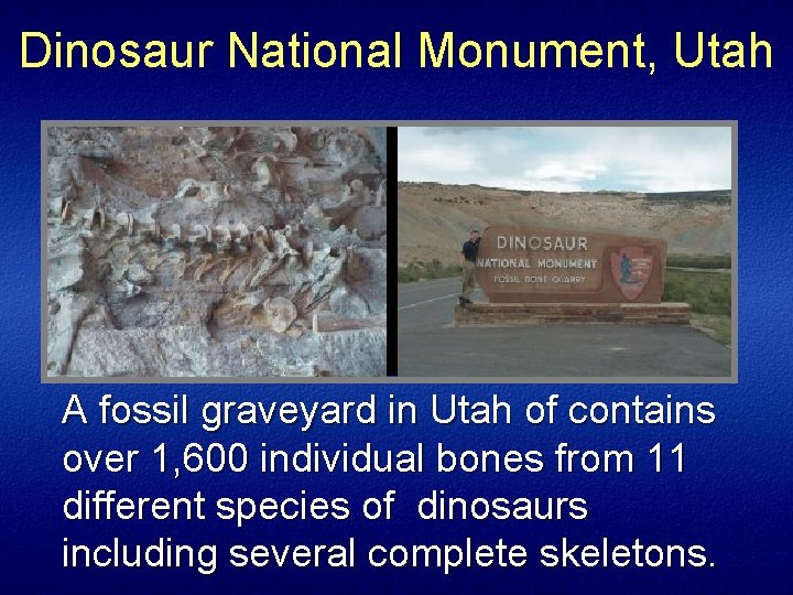 Dinosaur National Monument, Utah A fossil graveyard in Utah of contains over 1, 600