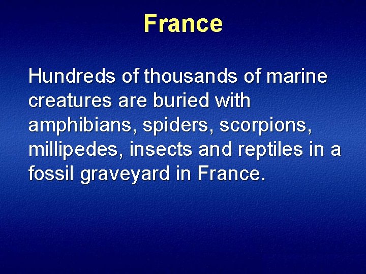 France Hundreds of thousands of marine creatures are buried with amphibians, spiders, scorpions, millipedes,