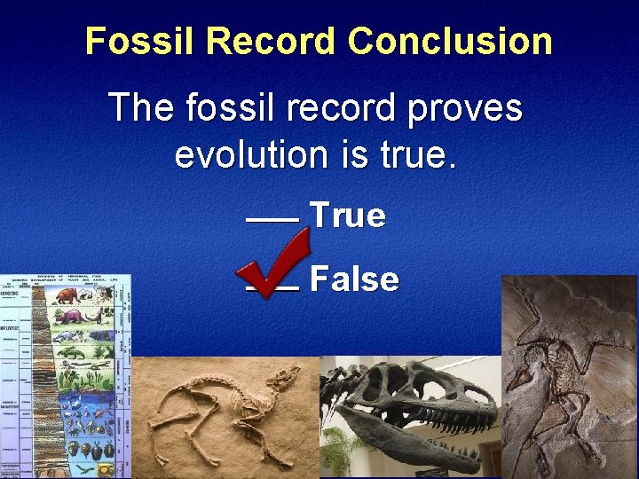 Fossil Record Conclusion The fossil record proves evolution is true. True False 