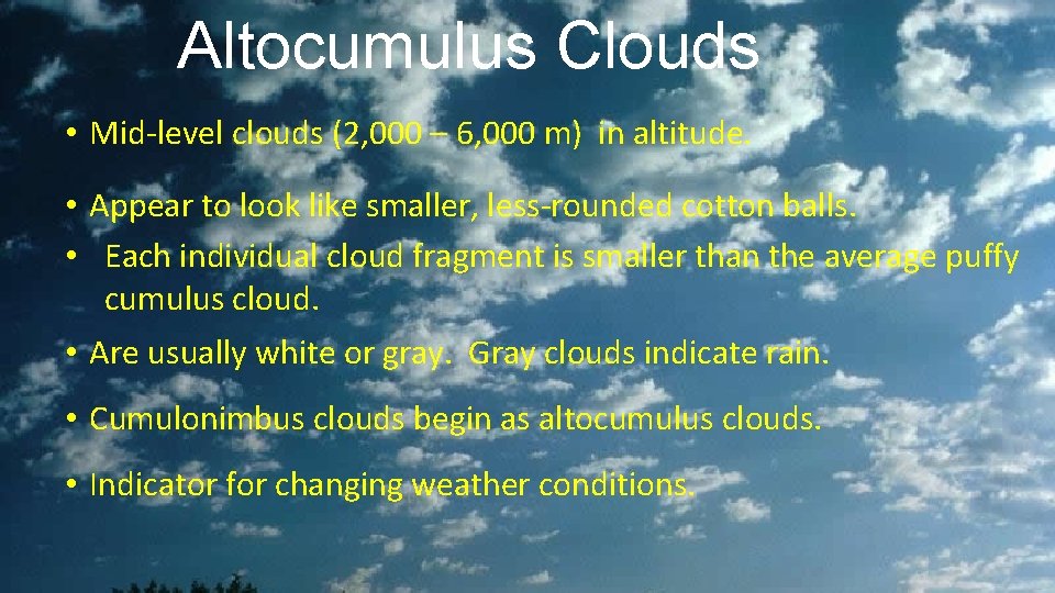Altocumulus Clouds • Mid-level clouds (2, 000 – 6, 000 m) in altitude. •