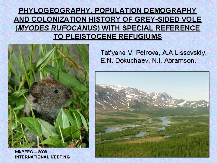 PHYLOGEOGRAPHY, POPULATION DEMOGRAPHY AND COLONIZATION HISTORY OF GREY-SIDED VOLE (MYODES RUFOCANUS) WITH SPECIAL REFERENCE