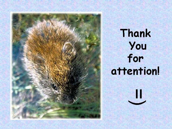 Thank You for attention! =) 