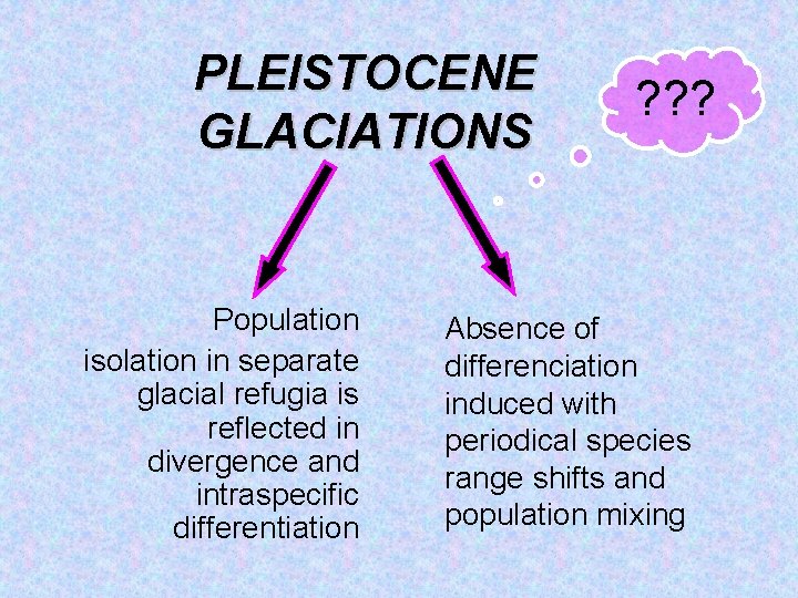 PLEISTOCENE GLACIATIONS Population isolation in separate glacial refugia is reflected in divergence and intraspecific