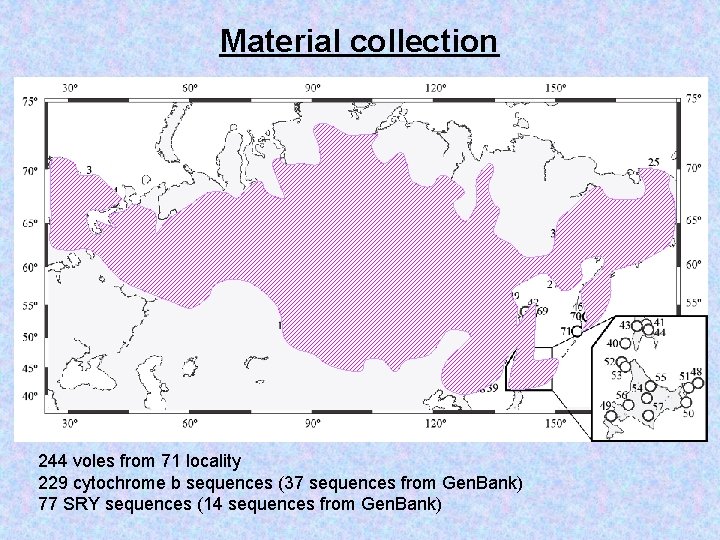 Material collection 244 voles from 71 locality 229 cytochrome b sequences (37 sequences from