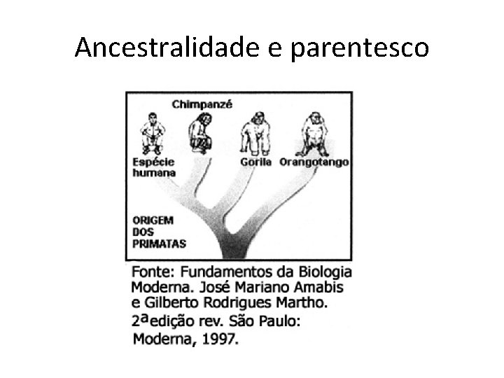 Ancestralidade e parentesco 