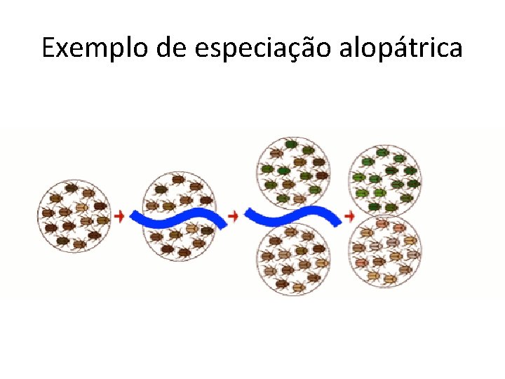 Exemplo de especiação alopátrica 