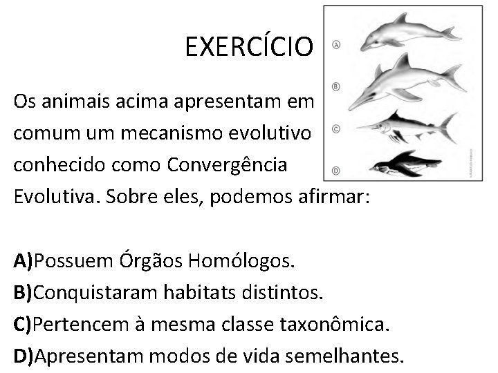 EXERCÍCIO Os animais acima apresentam em comum um mecanismo evolutivo conhecido como Convergência Evolutiva.