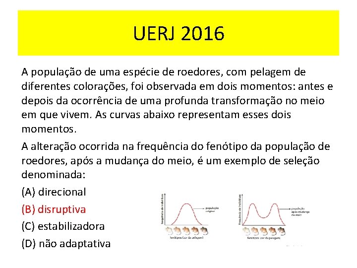 UERJ 2016 A população de uma espécie de roedores, com pelagem de diferentes colorações,