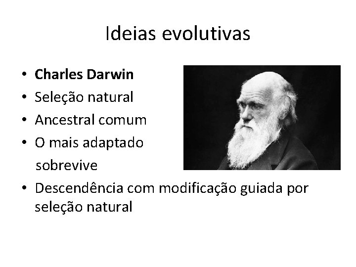 Ideias evolutivas • Charles Darwin • Seleção natural • Ancestral comum • O mais