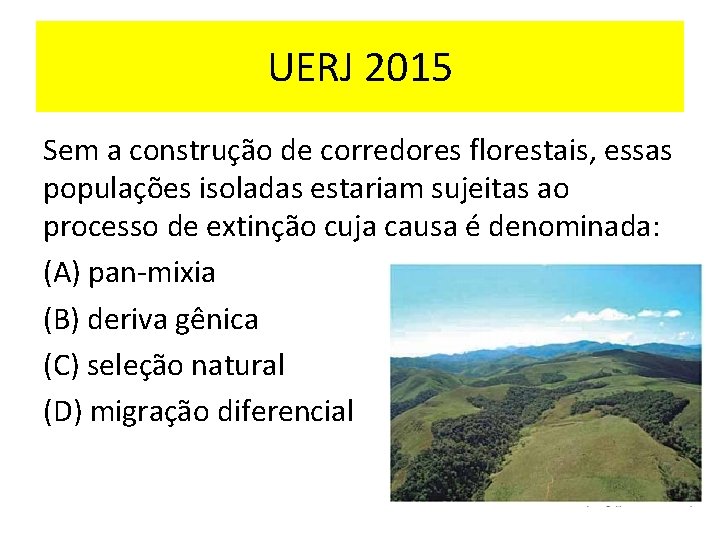 UERJ 2015 Sem a construção de corredores florestais, essas populações isoladas estariam sujeitas ao