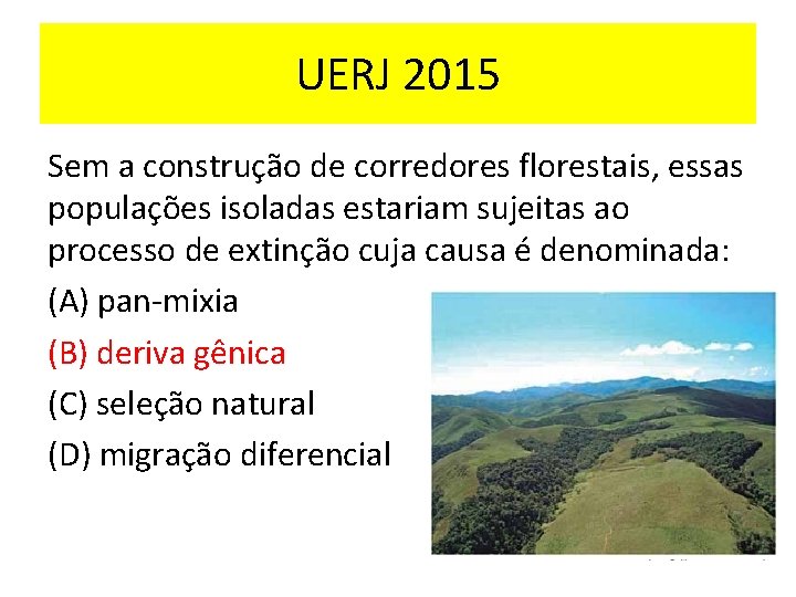 UERJ 2015 Sem a construção de corredores florestais, essas populações isoladas estariam sujeitas ao