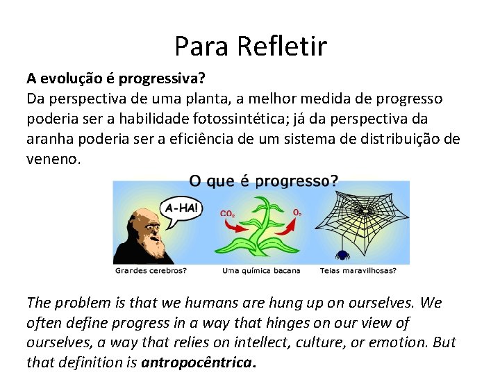 Para Refletir A evolução é progressiva? Da perspectiva de uma planta, a melhor medida