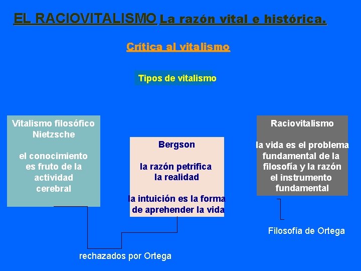 EL RACIOVITALISMO La razón vital e histórica. Crítica al vitalismo Tipos de vitalismo Raciovitalismo EL RACIOVITALISMO La razón vital e histórica. Crítica al vitalismo Tipos de vitalismo Raciovitalismo