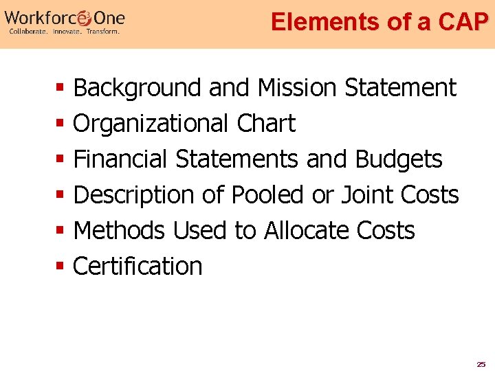 Elements of a CAP § Background and Mission Statement § Organizational Chart § Financial