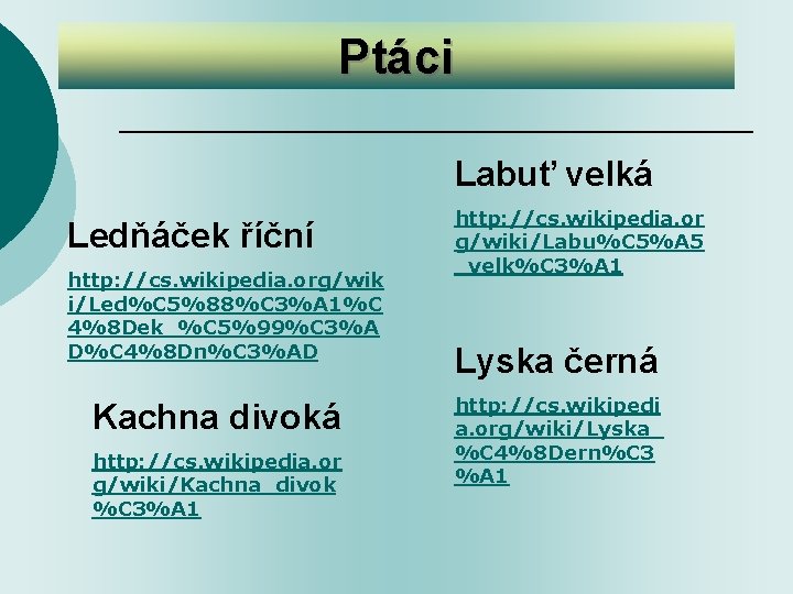 Ptáci Labuť velká Ledňáček říční http: //cs. wikipedia. org/wik i/Led%C 5%88%C 3%A 1%C 4%8