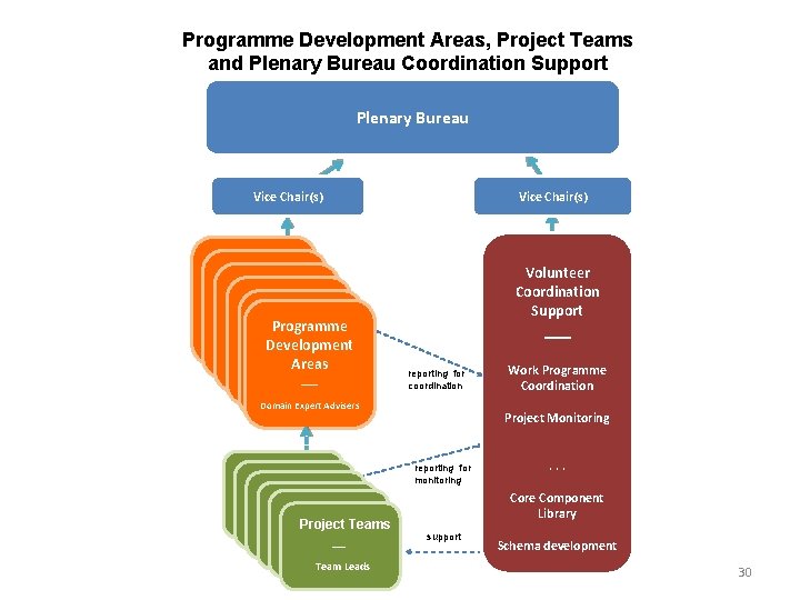 Programme Development Areas, Project Teams and Plenary Bureau Coordination Support Plenary Bureau Vice Chair(s)