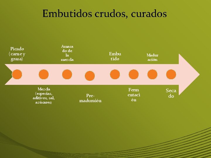 Embutidos crudos, curados Amasa do de la mezcla Picado (carne y grasa) Mezcla (especias,