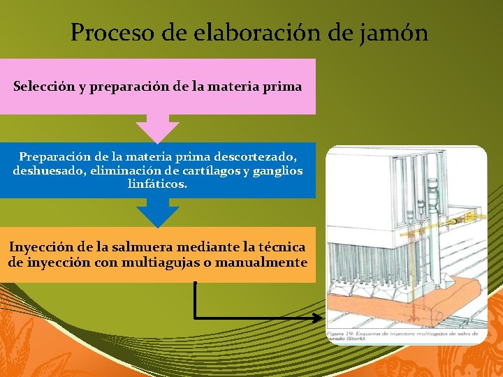 Proceso de elaboración de jamón Selección y preparación de la materia prima Preparación de