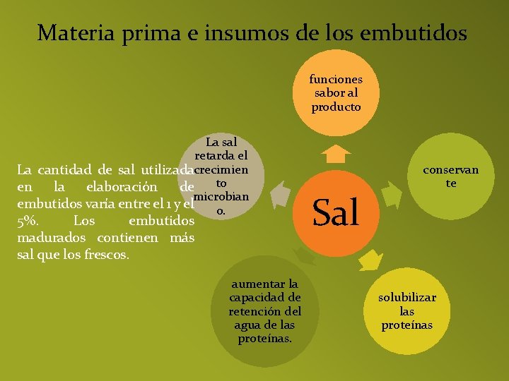 Materia prima e insumos de los embutidos funciones sabor al producto La sal retarda