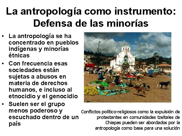 La antropología como instrumento: Defensa de las minorías • La antropología se ha concentrado
