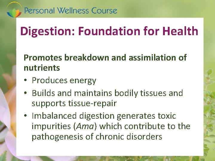 Digestion: Foundation for Health Promotes breakdown and assimilation of nutrients • Produces energy •