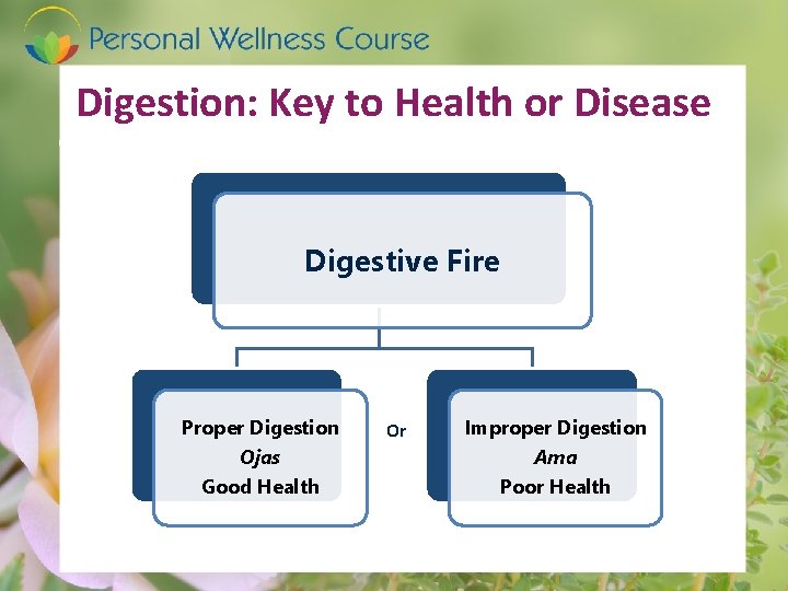 Digestion: Key to Health or Disease Digestive Fire Proper Digestion Ojas Good Health Or