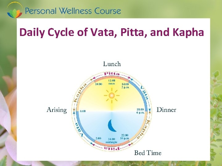 Daily Cycle of Vata, Pitta, and Kapha 