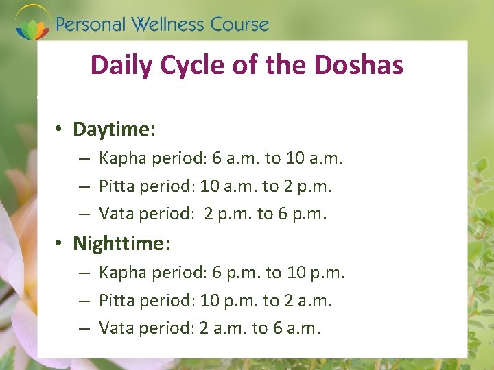 Daily Cycle of the Doshas • Daytime: – Kapha period: 6 a. m. to