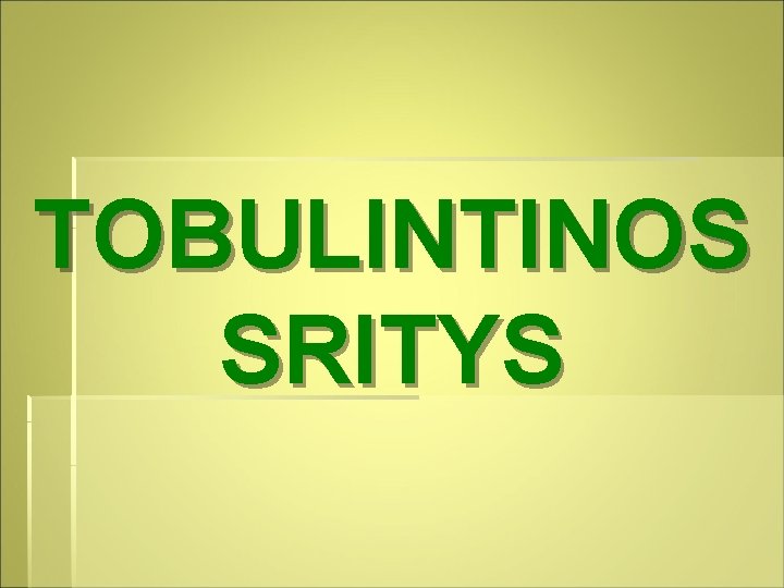 TOBULINTINOS SRITYS 