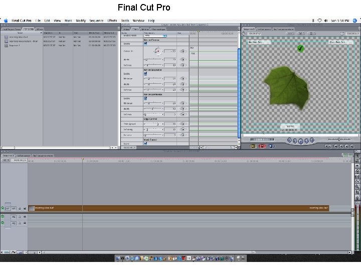 Final Cut Pro 