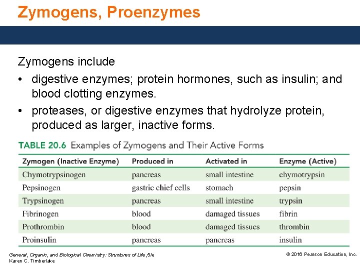 Zymogens, Proenzymes Zymogens include • digestive enzymes; protein hormones, such as insulin; and blood