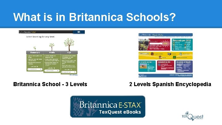What is in Britannica Schools? Britannica School - 3 Levels 2 Levels Spanish Encyclopedia