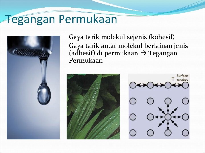 Tegangan Permukaan Gaya tarik molekul sejenis (kohesif) Gaya tarik antar molekul berlainan jenis (adhesif)