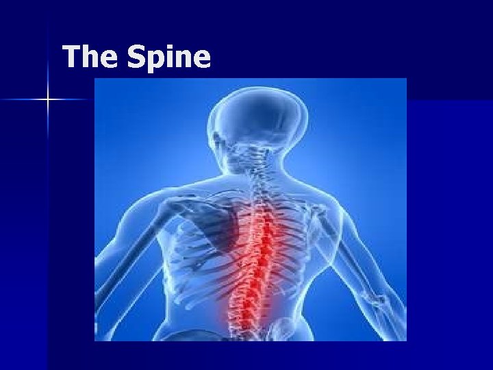 The Spine 