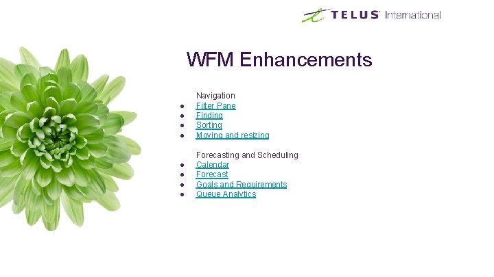 WFM Enhancements ● ● Navigation Filter Pane Finding Sorting Moving and resizing ● ● WFM Enhancements ● ● Navigation Filter Pane Finding Sorting Moving and resizing ● ●